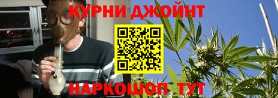 винт Тара