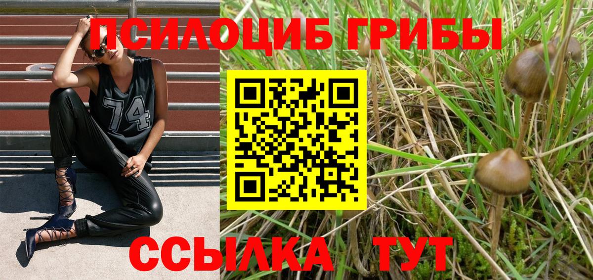Галлюциногенные грибы GOLDEN TEACHER Соль-Илецк