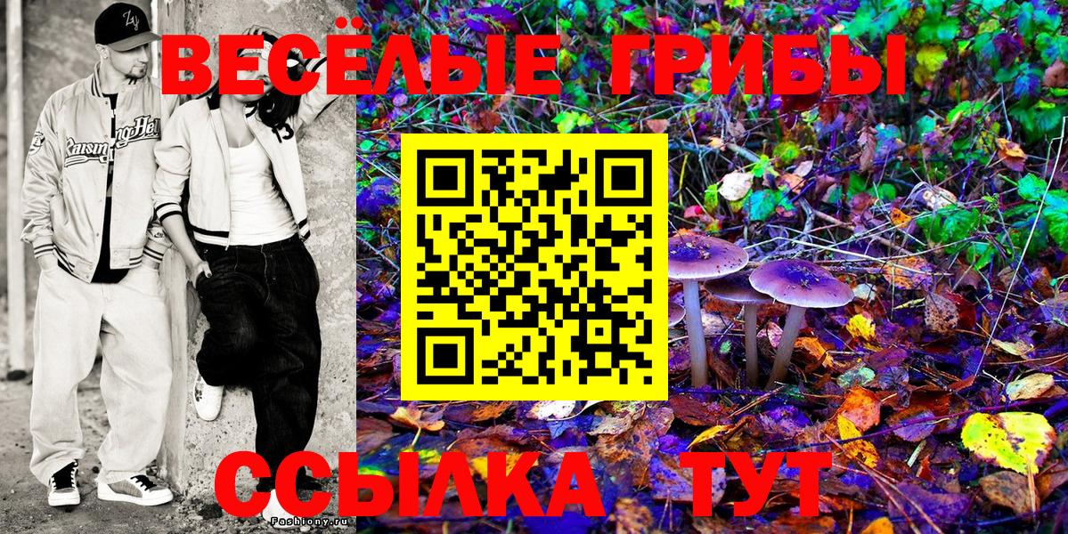 Галлюциногенные грибы мицелий  Вход с VPN  Галлюциногенные грибы MAGIC MUSHROOMS  Соль-Илецк 